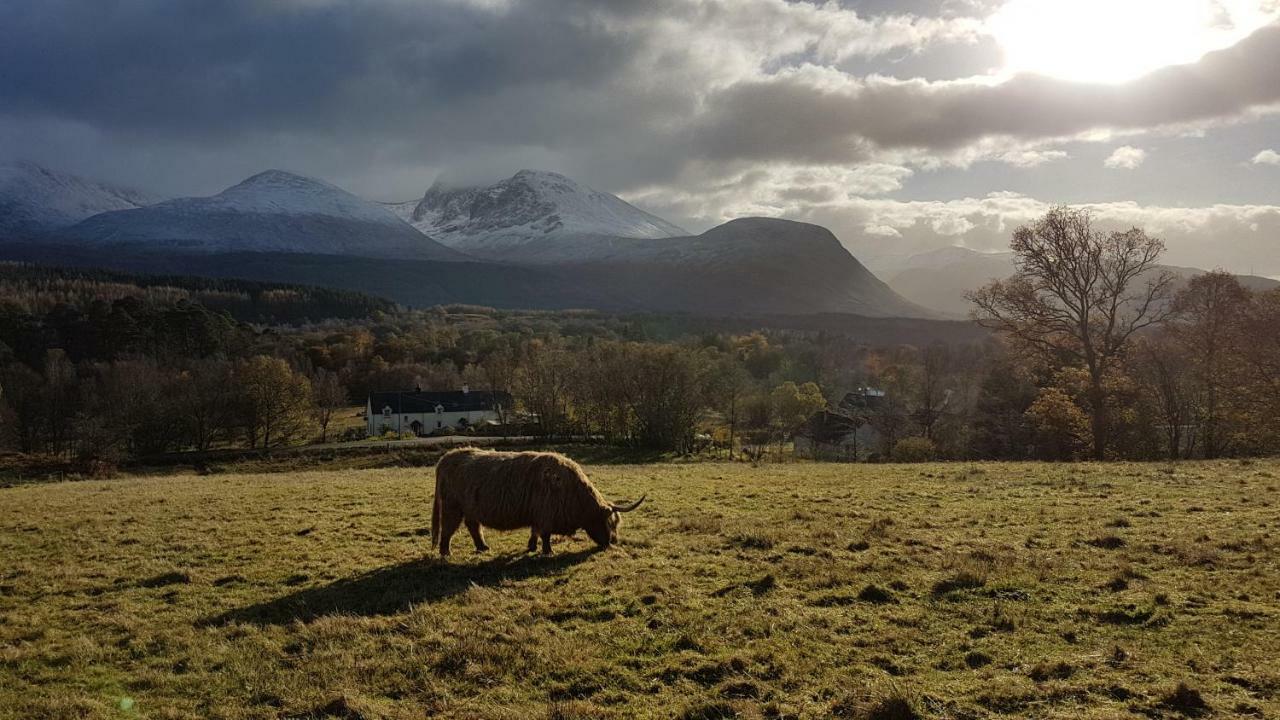 Birch Lodge Fort William Dış mekan fotoğraf